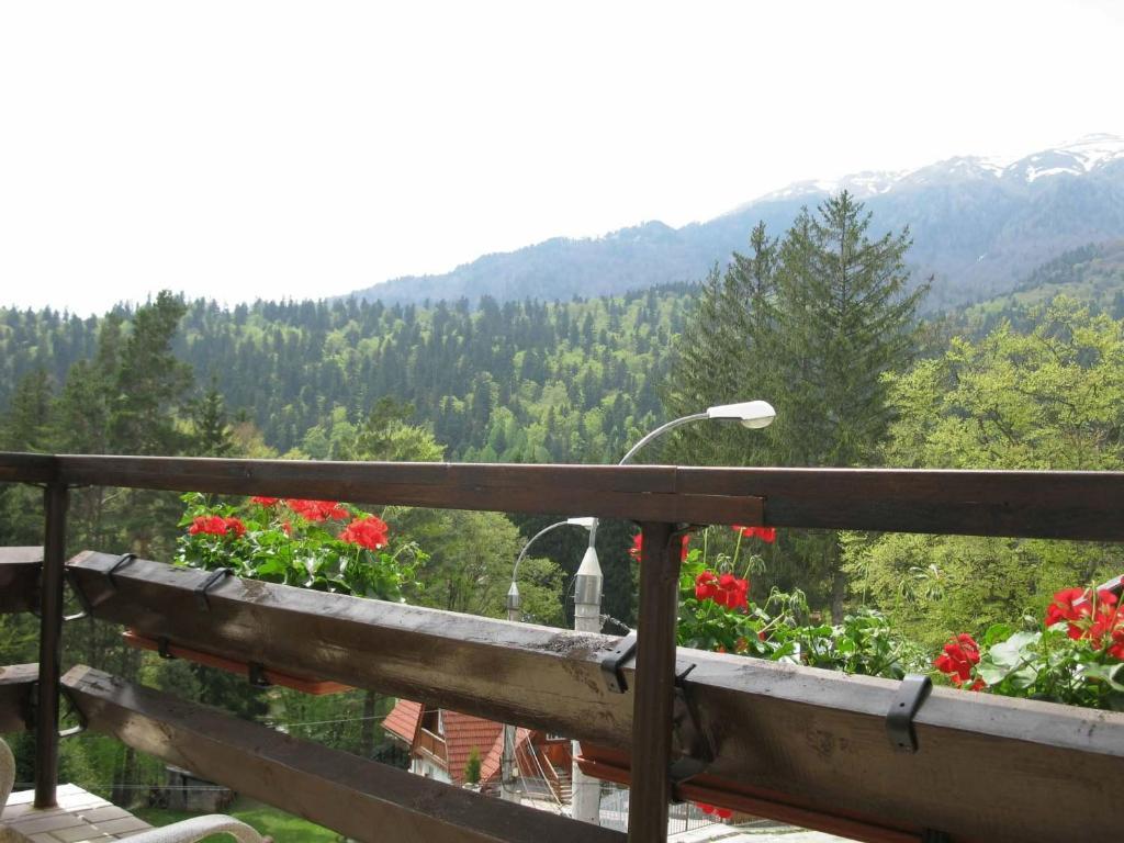 Hotel Piatra Soimului Sinaia Bagian luar foto